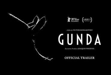 Watch Gunda (2020) Norwegian Film