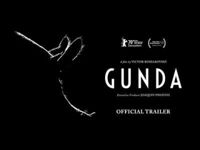 Watch Gunda (2020) Norwegian Film