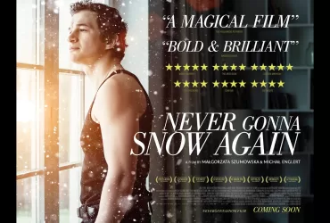 Watch Never Gonna Snow Again (2020) Polish Film