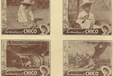 Watch Adventures Of Chico (1938)