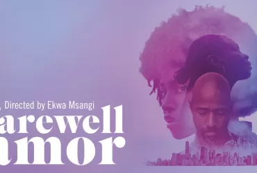 Watch Farewell Amor 2020 American Film