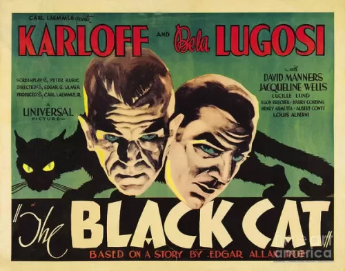 Watch The Black Cat (1934) American Horror Film