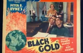 Watch Black Gold (1936) American Film